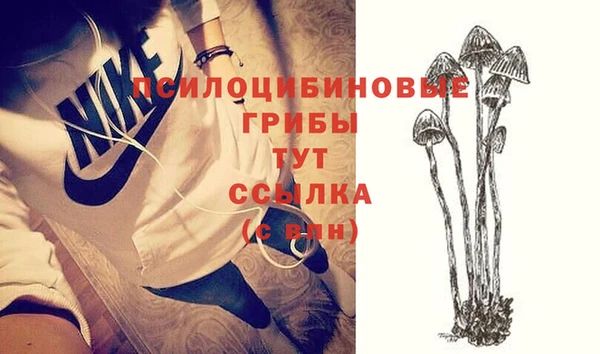 ешки Балахна