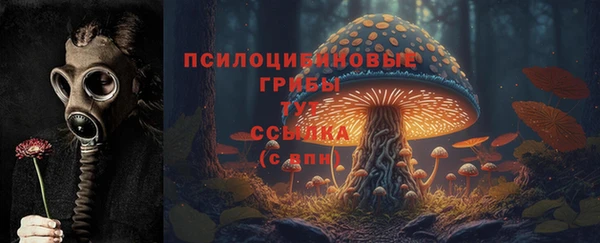 соль курить ск Балабаново