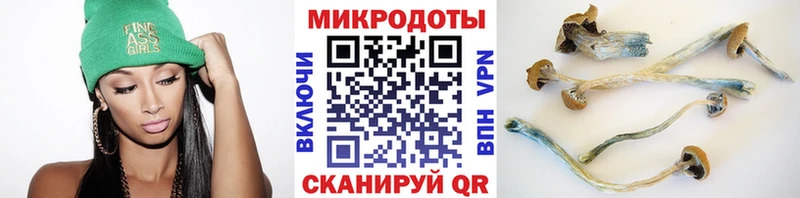 Купить  Жигулёвск  Псилоцибиновые грибы прущие грибы 